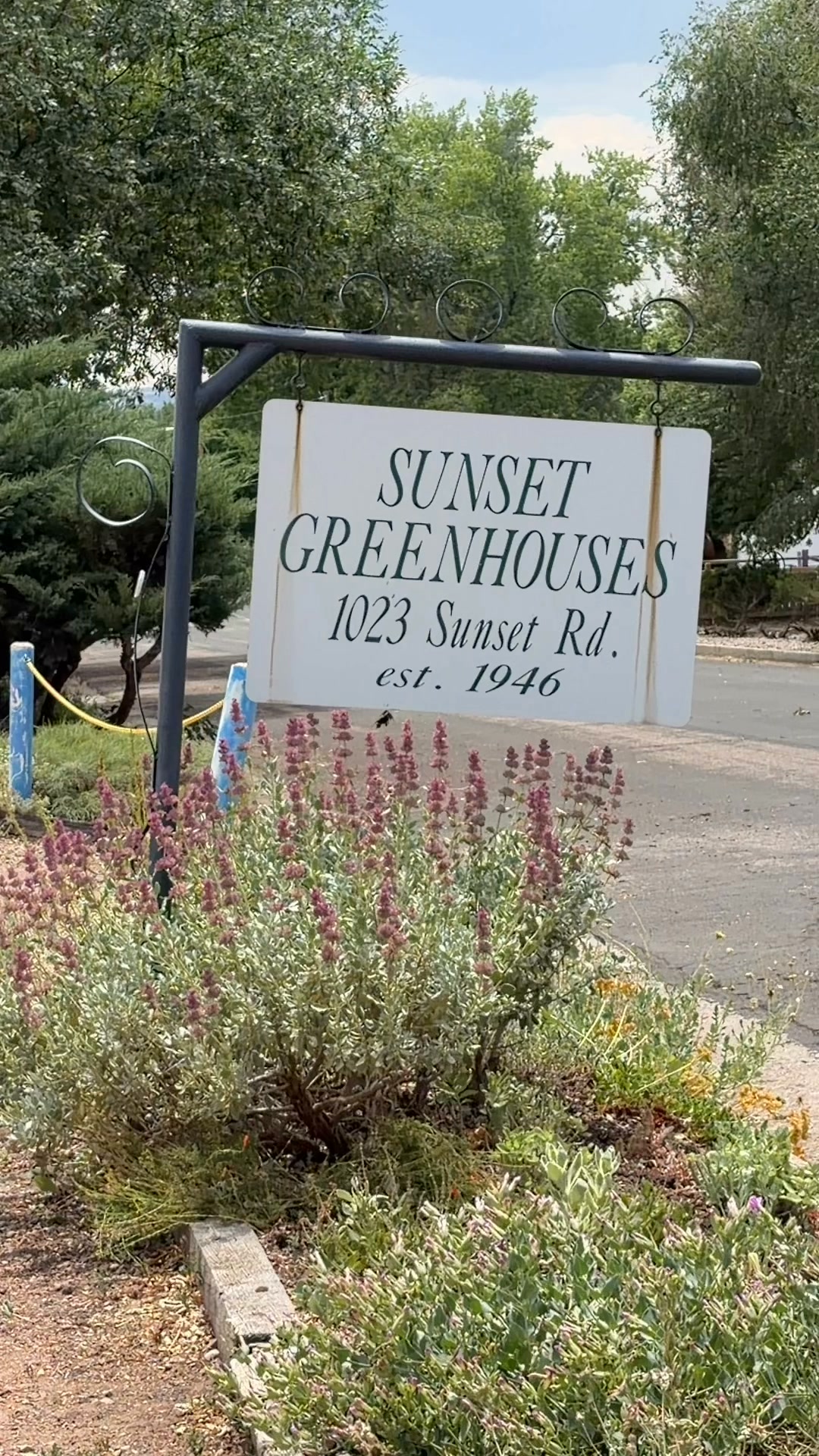 Sunset Greenhouse